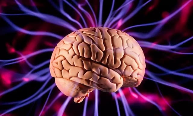 Seu cérebro continua processando o mundo enquanto você está sob anestesia? Estudo explica