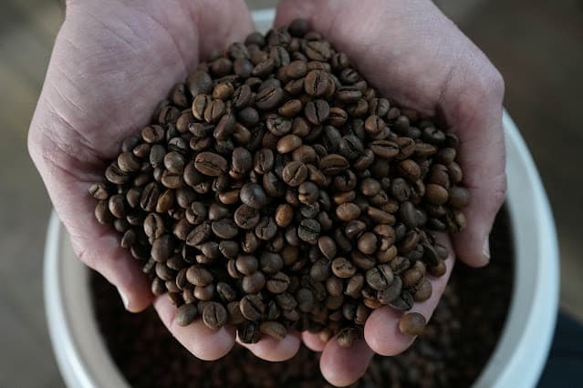 Brasil pode registrar exportação recorde de café em 2026/27, projeta diretor da Eisa
