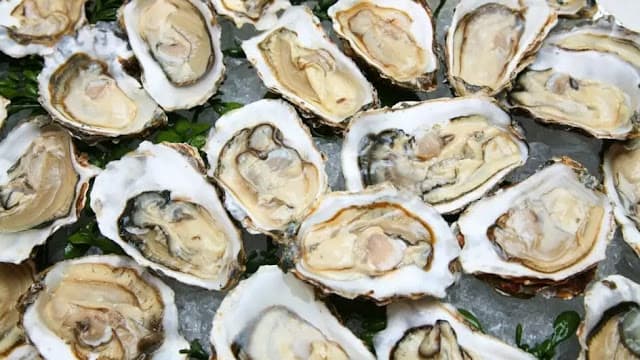 Superbactéria crítica para a Organização Mundial de Saúde é encontrada pela 1ª vez em alimento no Brasil