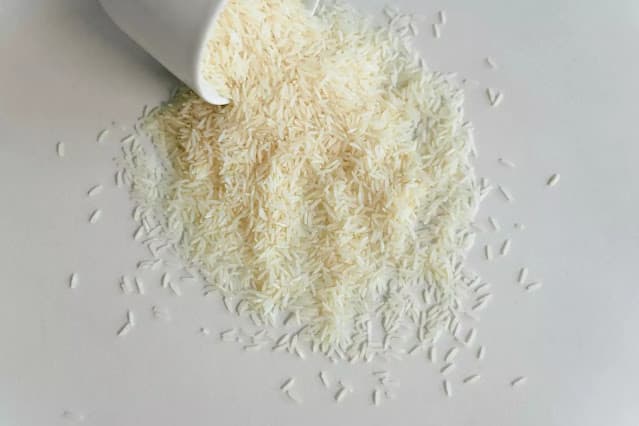 Arroz gaúcho ganha destaque no Congresso Brasileiro de Nutrição