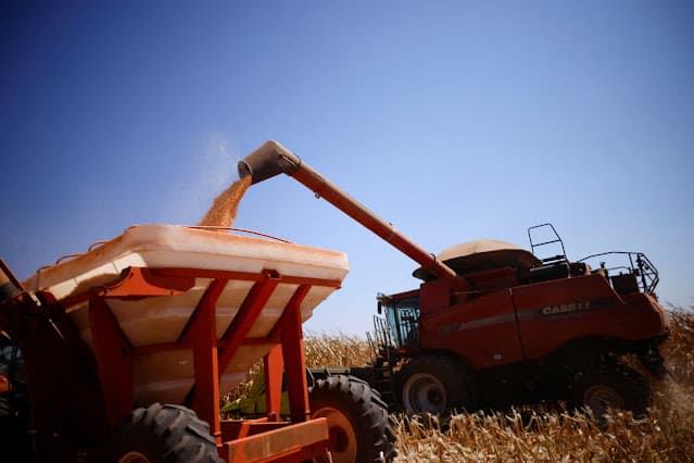 Itaú BBA reduz previsão de exportação de milho do Brasil por competição com EUA e Argentina