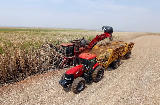 Mercado vê prêmios mais baixos para etanol anidro no Brasil prevendo volumes recordes, diz Argus