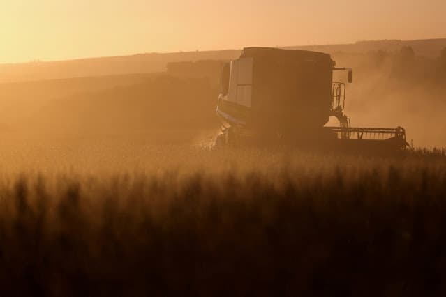 Leilões de propriedades rurais no Brasil disparam com avanço da dívida rural