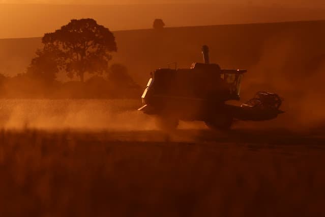 Safras & Mercado eleva estimativas de colheita e esmagamento de soja no Brasil