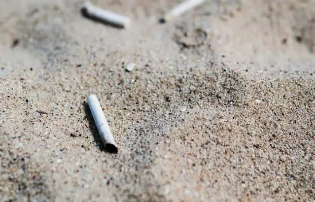 Praias brasileiras estão entre as mais contaminadas do mundo por bitucas de cigarro