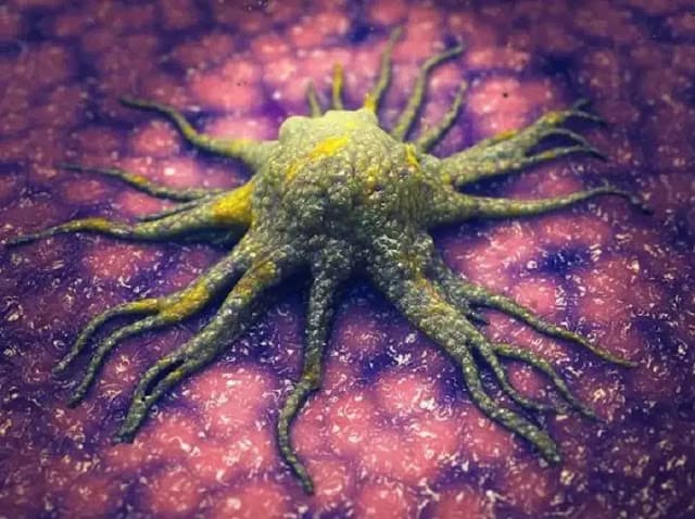 Cientistas descobrem molécula que “mata de fome” células cancerígenas sem afetar tecidos saudáveis