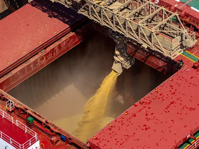 Exportação de soja do Brasil salta 12,5% na média diária de abril; café e algodão também avançam