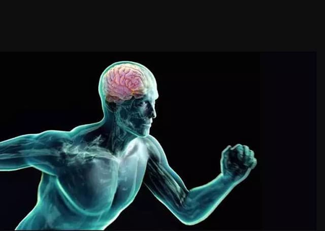 “O corpo e o cérebro estão mais conectados do que se imagina”, diz neurocirurgião e pesquisador