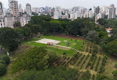 Maior cafezal urbano do mundo recebe novos pés de café no Brasil
