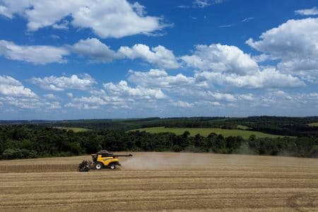 EUA ampliarão plantio de soja em 2026 e cortarão área de milho, prevê USDA