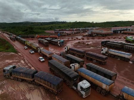 Colheita de soja do Brasil se aproxima de 40% da área, diz Pátria AgroNegócios